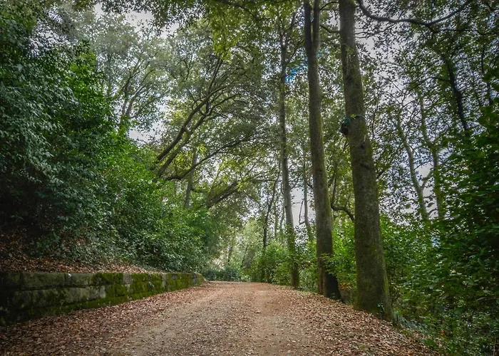 Il Borgo Di Castelletti Country *